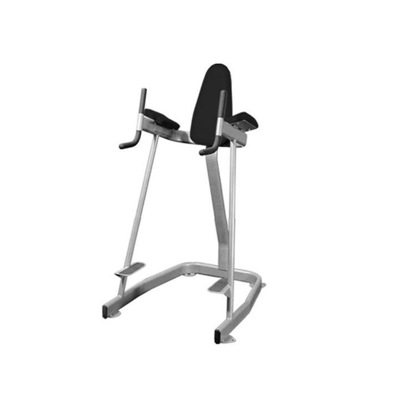 Vertical Knee Raise – Elite Series – Muscle D Fitness – Sturdy Vertical Knee Raise