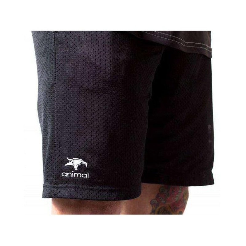 Animal Champion Shorts Black M