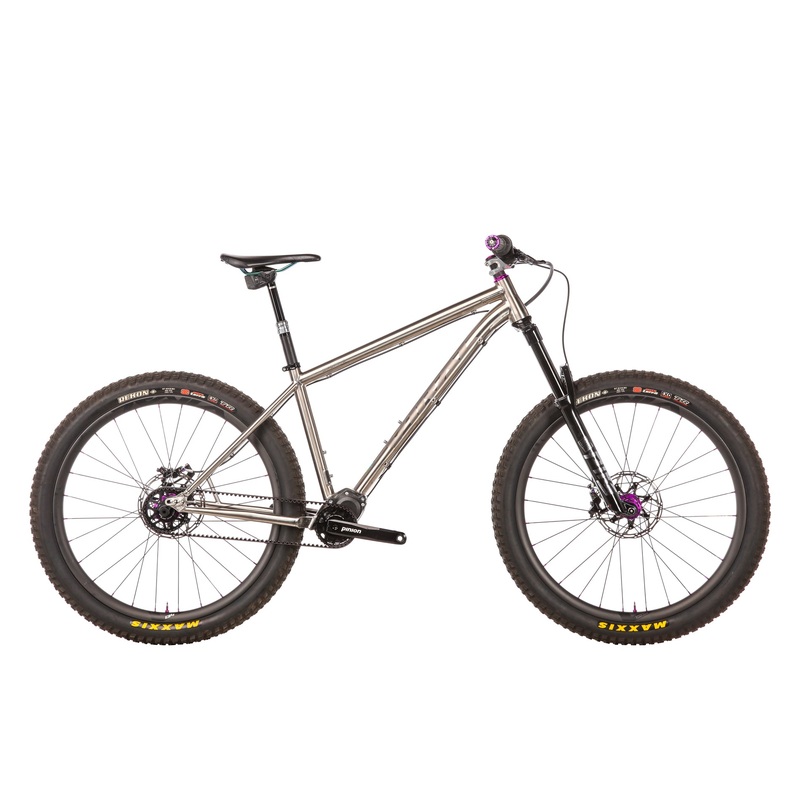 Viral Skeptic Mountain Bike – 2020, Medium