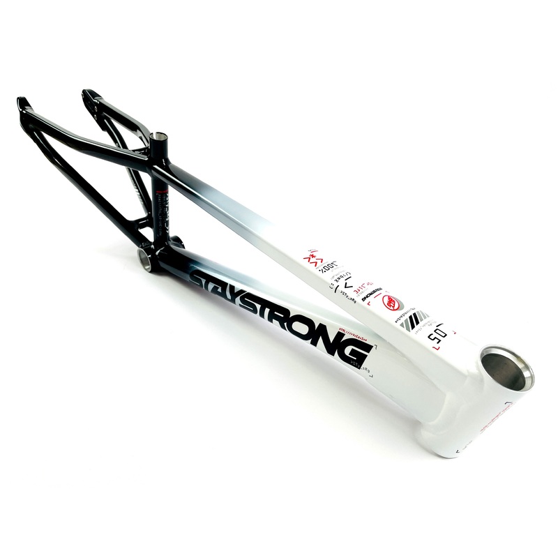 Stay Strong For Life V5 Disc Alloy BMX Race Frame-White/Black Mini