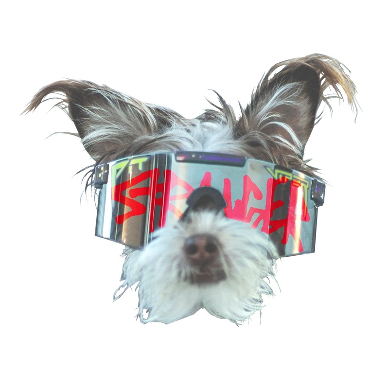 PEANUT STICKER