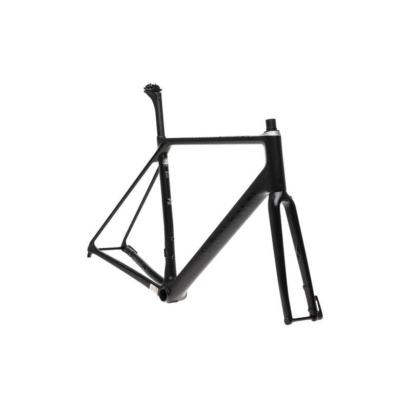 Canyon Endurace CF SL Disc Large Frameset – 2019