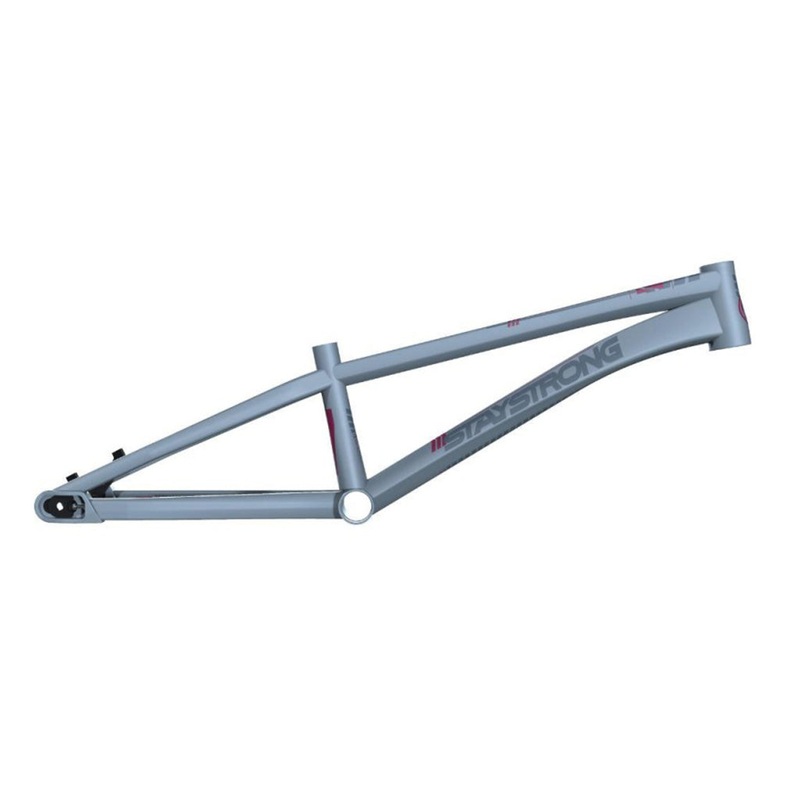Stay Strong For Life V4 Disc Alloy BMX Race Frame-Grey Expert